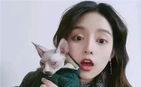 追女生坏坏撩人的情话,句句都能让她心动 追女生坏坏撩人的情话,句句都能让她心动第2张